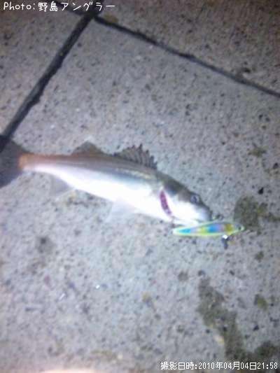 �����Х�