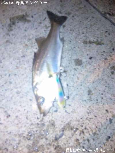 �����Х�