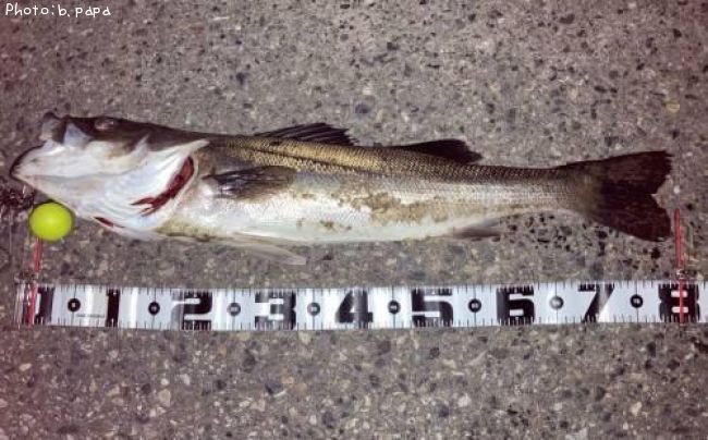 �����Х�