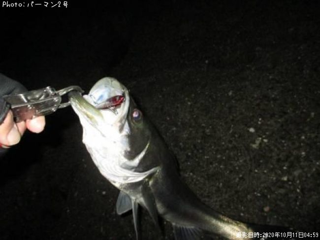 �����Х�