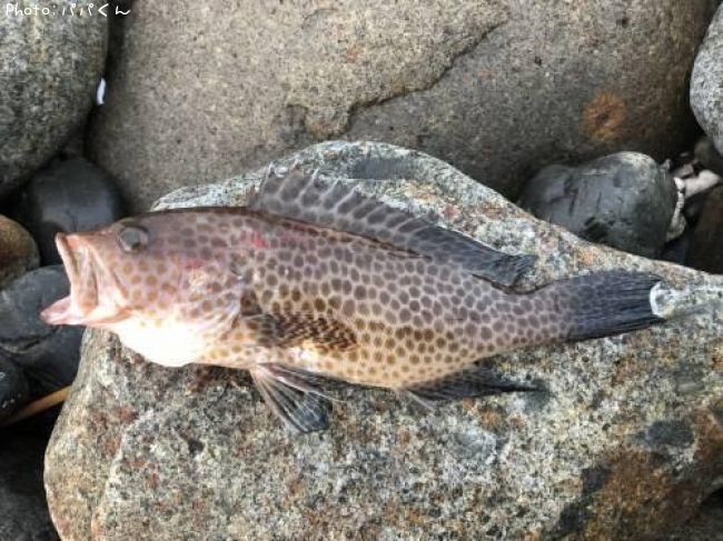 �������ϥ�