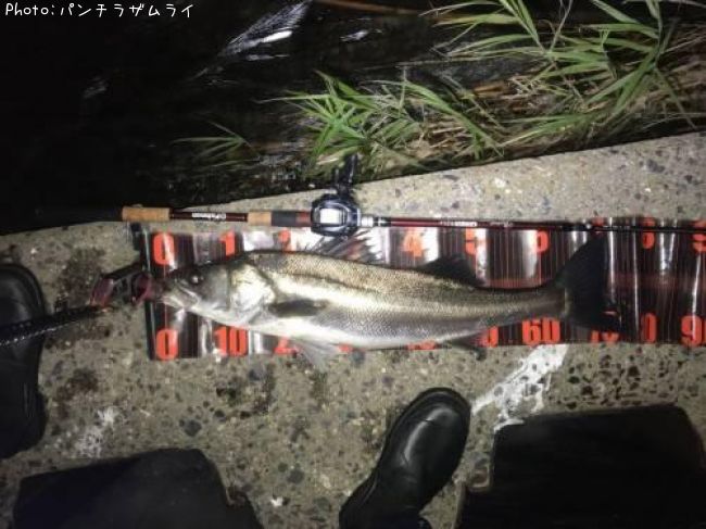 �����Х�