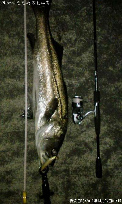 �����Х�