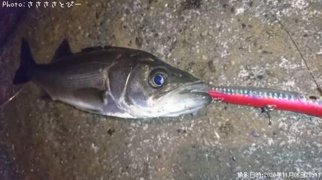 �����Х�