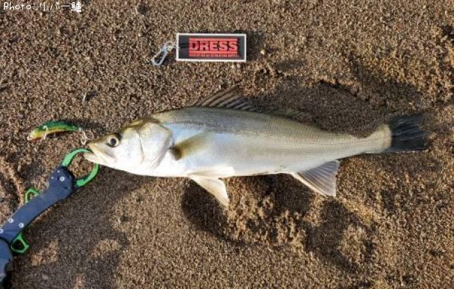 �����Х�