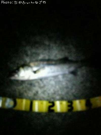 �����Х�