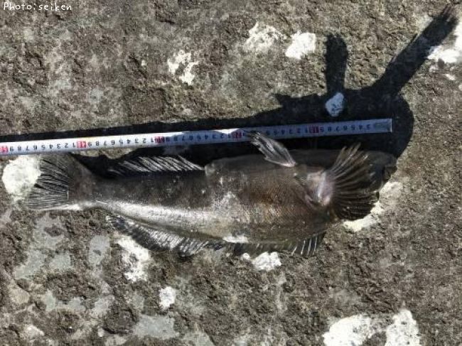 �����ʥ�