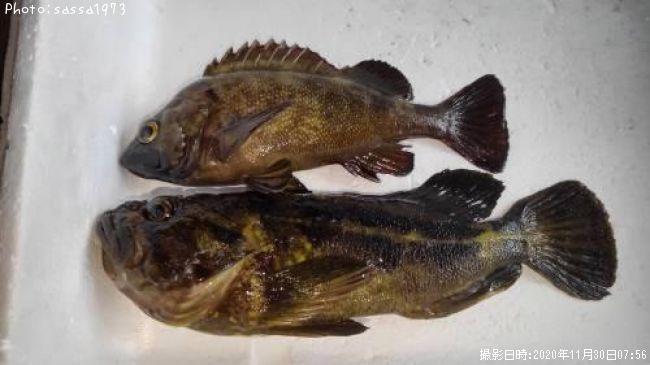 ���ޥ���