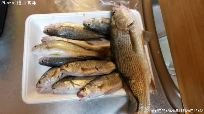 �������