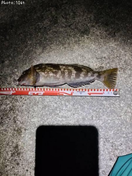 �����ʥ�