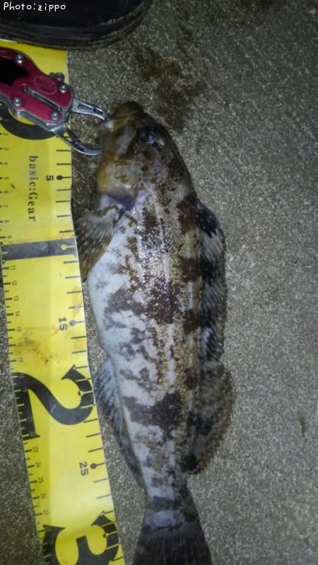 �����ʥ�