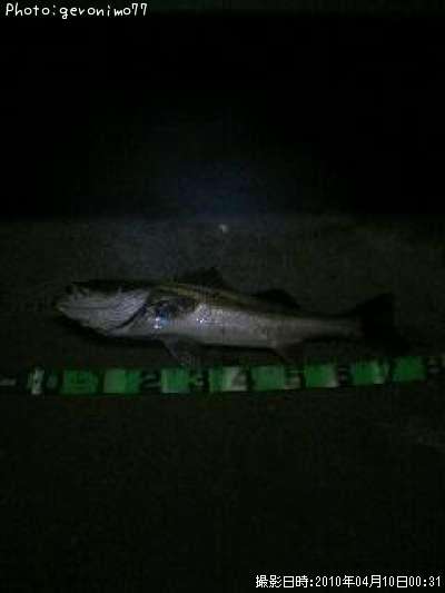 �����Х�