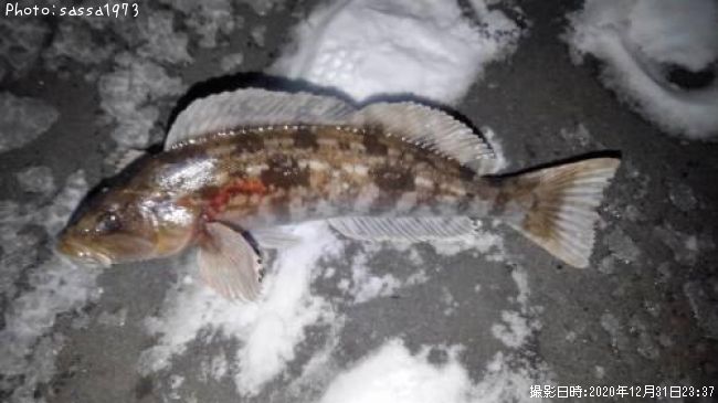 �����ʥ�