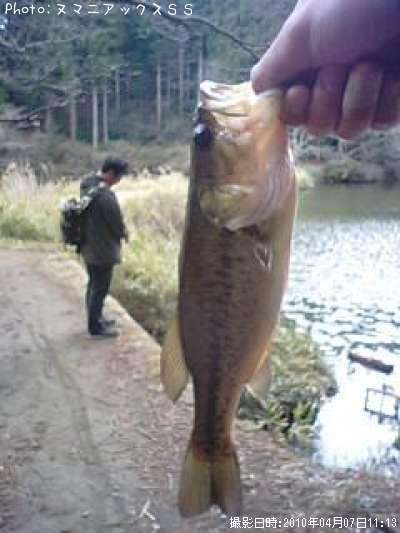 �֥�å��Х�