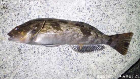 �����ʥ�