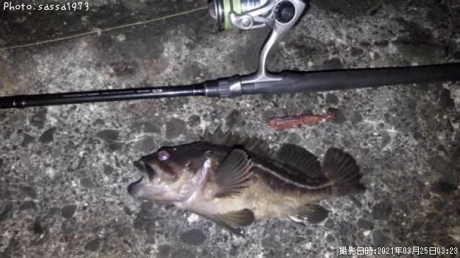 ���ޥ���