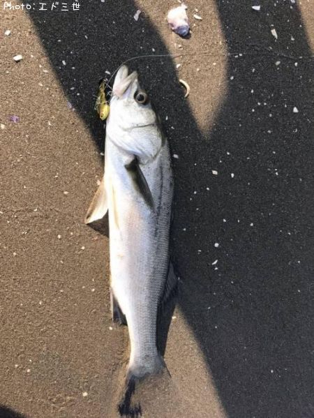 �����Х�