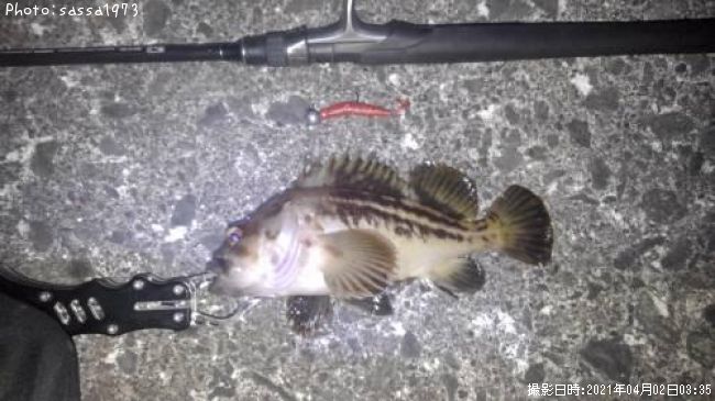 ���ޥ���