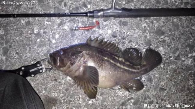 ���ޥ���