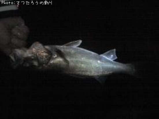 �����Х�