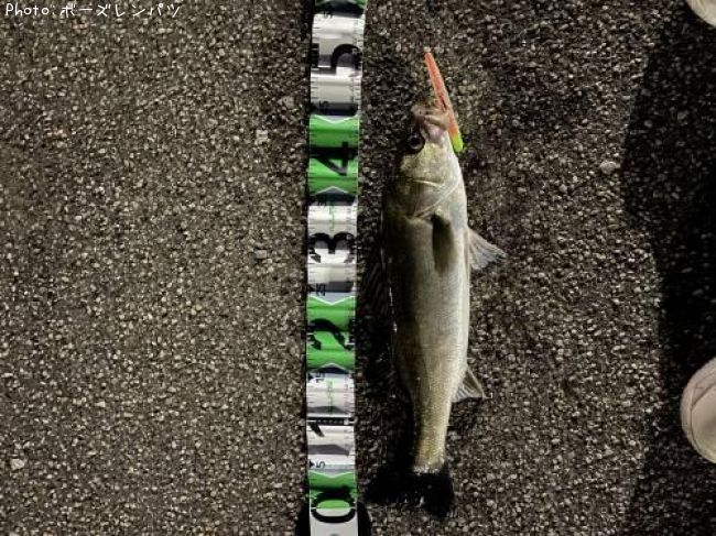 �����Х���