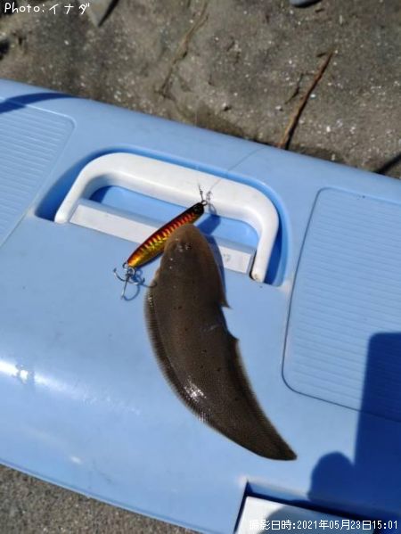 �ե�åȥե��å���