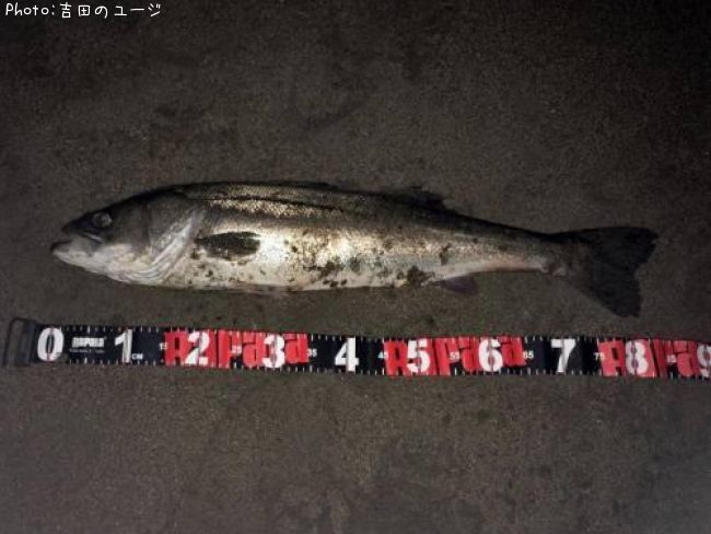 �����Х�