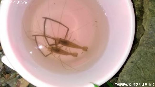 �ƥʥ�����