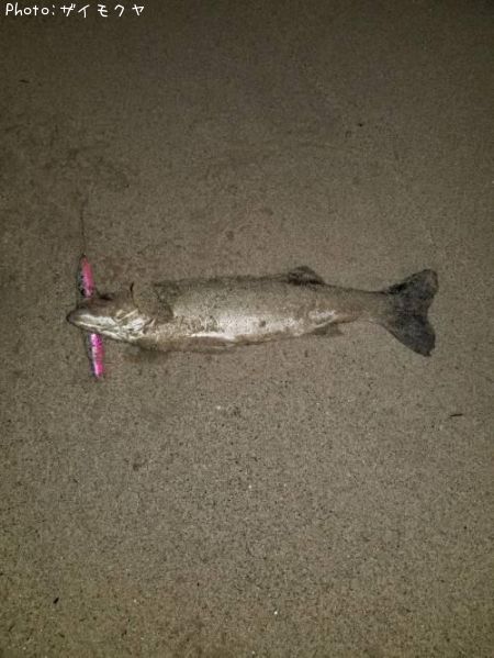 �����Х�