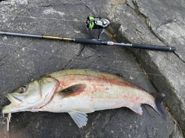 �����Х�