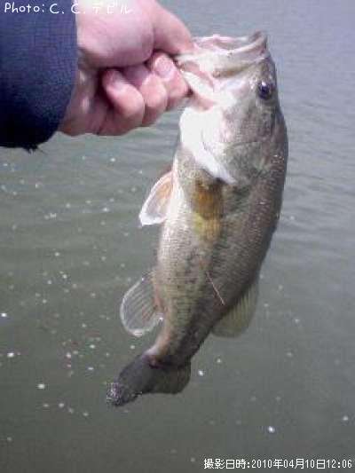 �֥�å��Х�