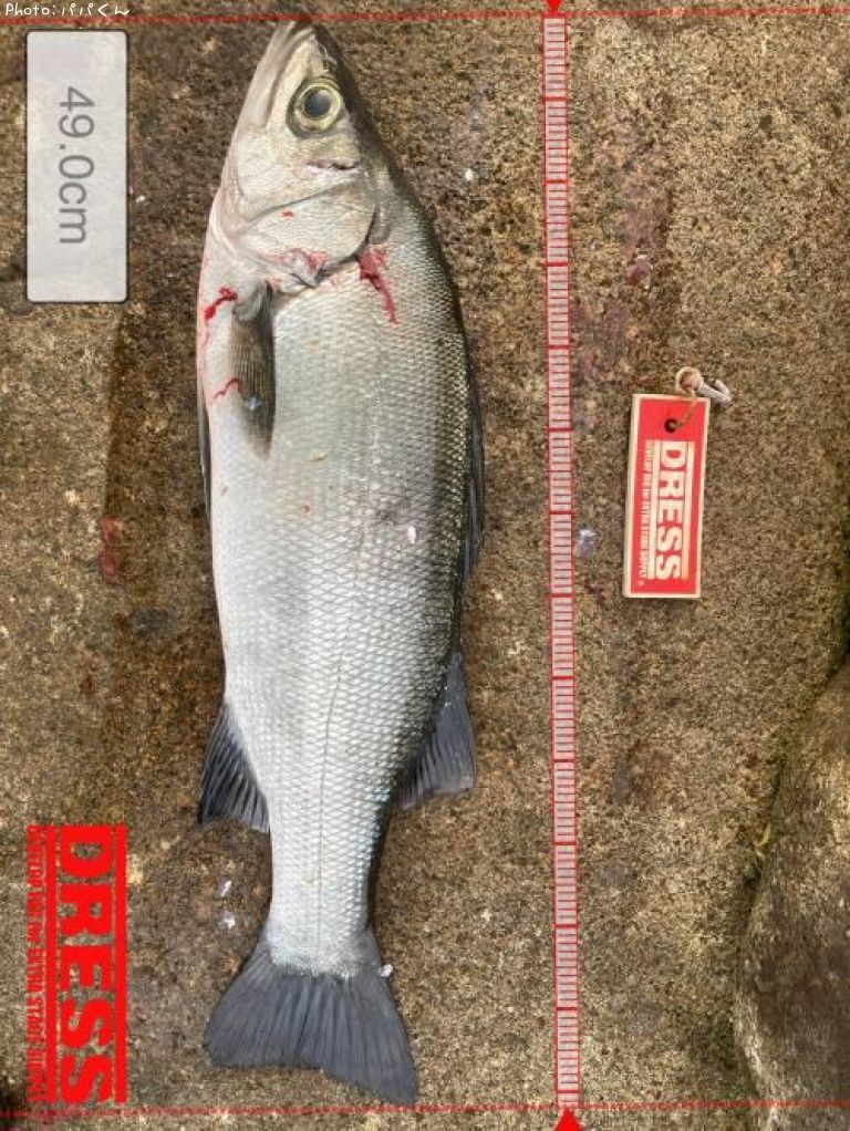 �ҥ饹����