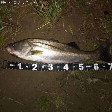 �����Х�