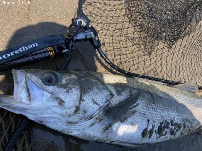 �����Х�