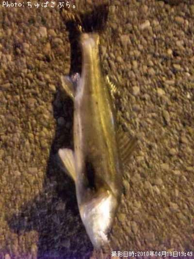 �����Х�