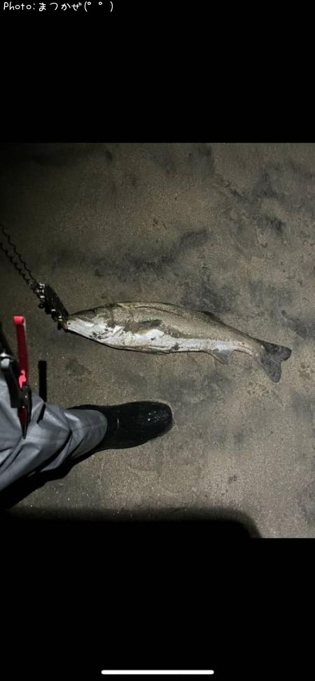 �����Х�