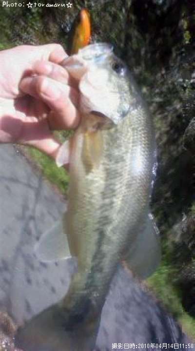 �֥�å��Х�