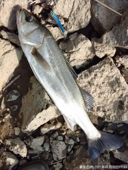 �����Х�