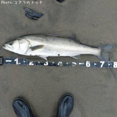 �����Х�