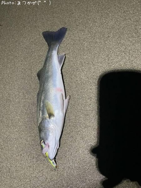 �����Х�