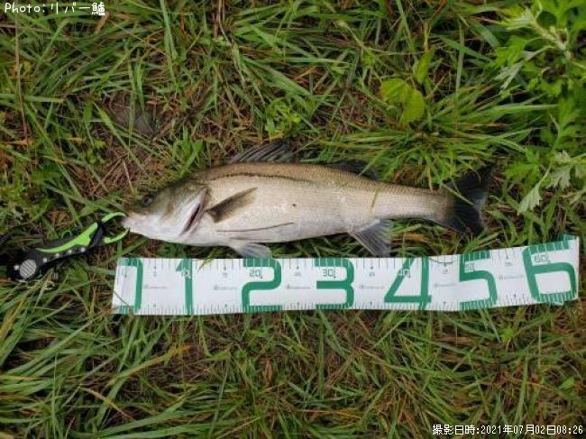 �����Х�