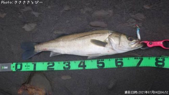 �����Х�