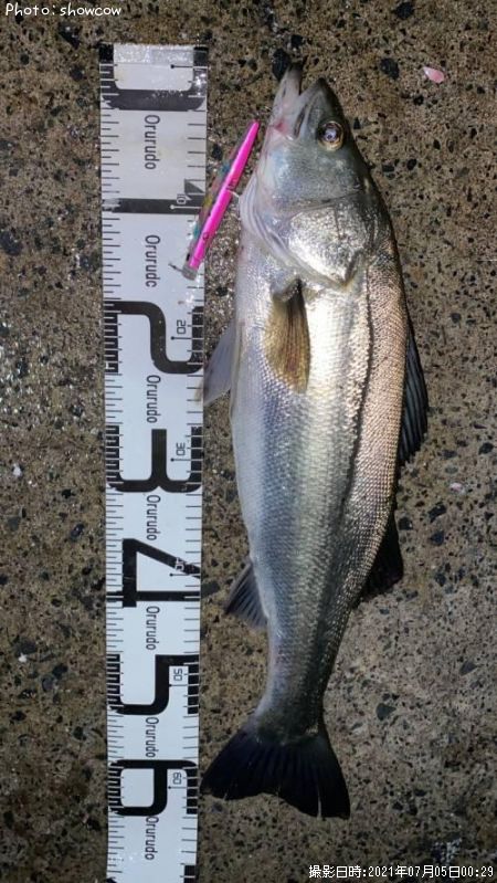 �����Х�