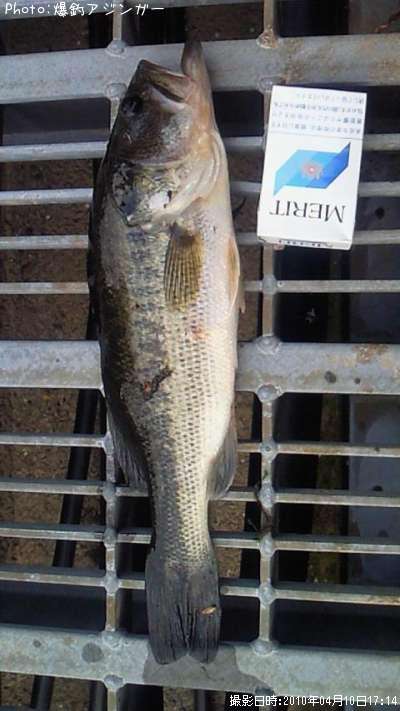 �֥�å��Х�