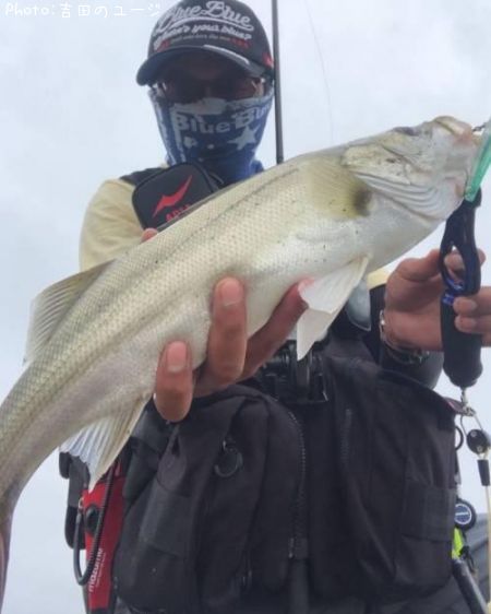 �����Х�