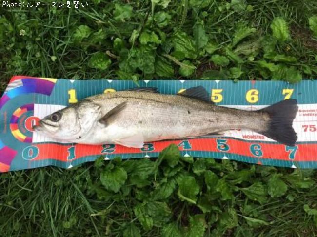 �����Х�