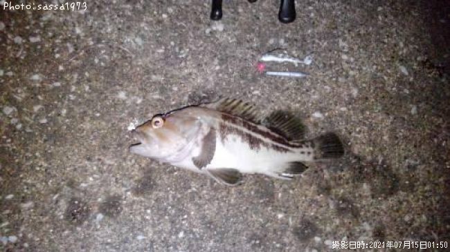 ���ޥ���