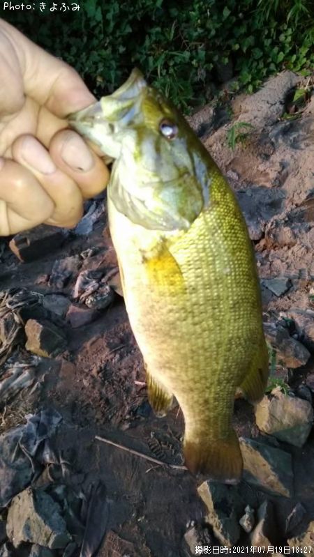 �֥�å��Х�