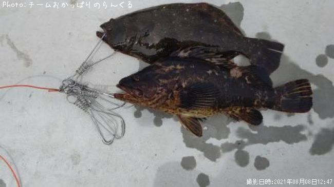 �����Υ���Х�