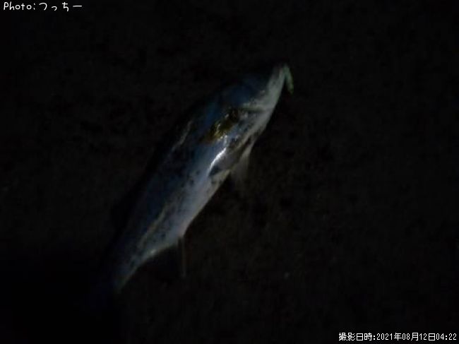 �����Х�